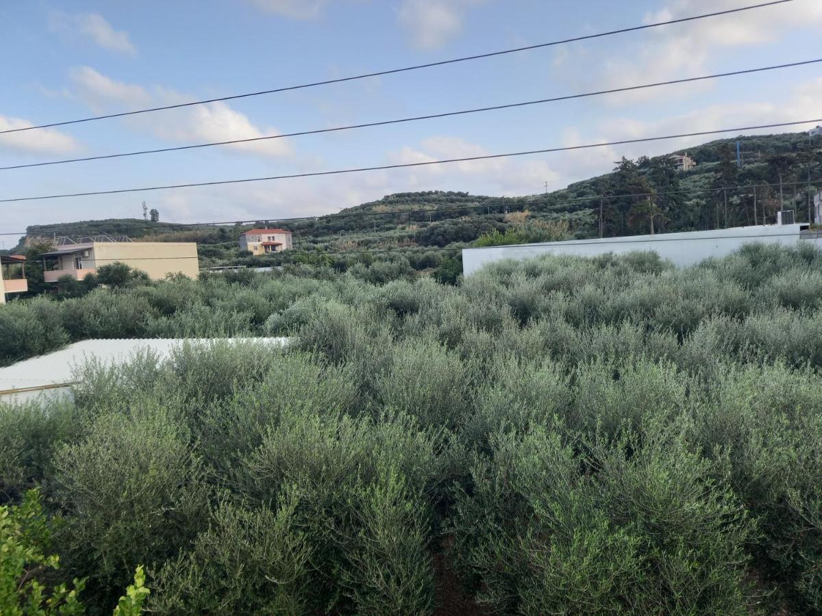 Michalis Litinas Apartments Agia Marina  Екстер'єр фото